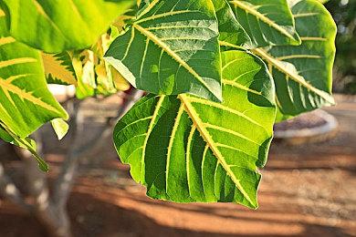 人气颇高 《英雄不再3》实体收藏版已被抢购一空