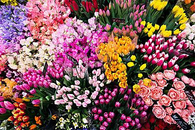 未来游戏展：国产游戏《重装前哨》新演示发布